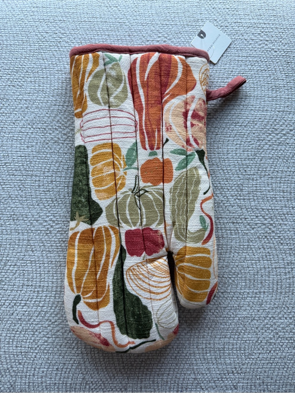 Anthropologie Pumpkin and Gourd Print Oven Mitt